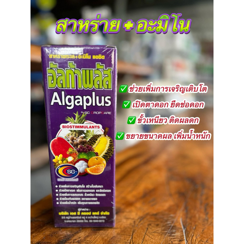 อัลก้าพลัส Algaplus วัตถุเกษตรจากแหล่งธรรมชาติ ใช้บำรุงพืชในแปลงปลูกทั่วไป