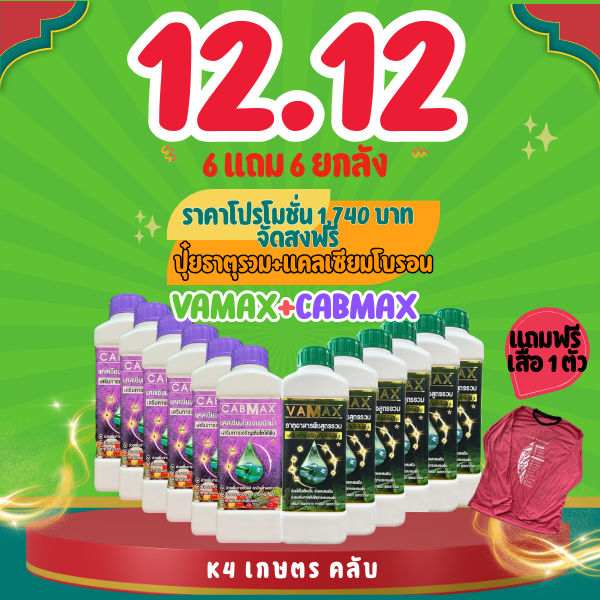 ชุด 6 แถม 6 Vamax+Cabmax ฟรี เสื้อ 1 ตัว