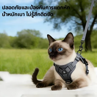 สายจูงแมวสัตว์เลี้ยง สายจูงแมว สายจูงสุนัขแบบปรับได้ ระบายอากาศได้ดี ป้องกันการคลายตัว สามารถปรับได้ สําหรับสัตว์เลี้ยง