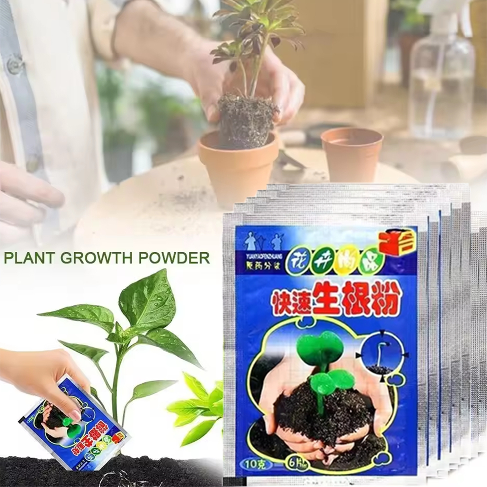 ผงเร่งรากพืช Fast Rooting Powder ผงบำรุงรากพืช Hormone Growing Root Seedling Clone รากพืช Plant Root Growth Rapid
