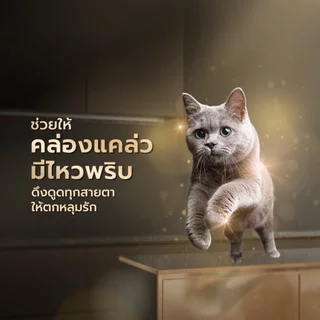 [ยกกล่อง x12] Sheba ชีบา อาหารเปียกแมว เกรดพรีเมี่ยม ขนาด 70 กรัม