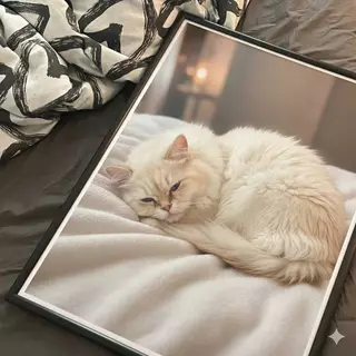 กรอบรูป 53x38Cm. แขวนผนัง กรอบรูปจิ๊กซอว์ 500ชิ้น