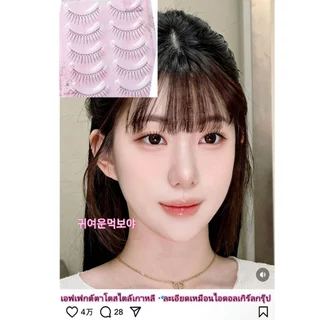 Dreehalo ขนตาสายใส ลุคธรรมชาติ กันน้ำ ขนตาปลอมสไตล์เกาหลี ยาวนุ่มเป็นธรรมชาติ แกนใสบาง ติดง่าย สบายตา ลุคใสละมุนF305