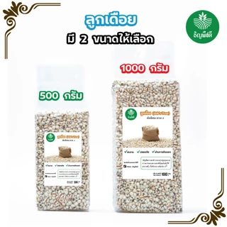 ลูกเดือยแท้ 100% ธัญพืชคุณภาพสูง คัดพรีเมียม ไม่ปนเศษ ไม่อับ เหมาะสำหรับสายสุขภาพ และเมนูคลีนทุกชนิด