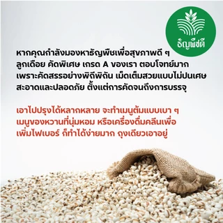 ลูกเดือยแท้ 100% ธัญพืชคุณภาพสูง คัดพรีเมียม ไม่ปนเศษ ไม่อับ เหมาะสำหรับสายสุขภาพ และเมนูคลีนทุกชนิด