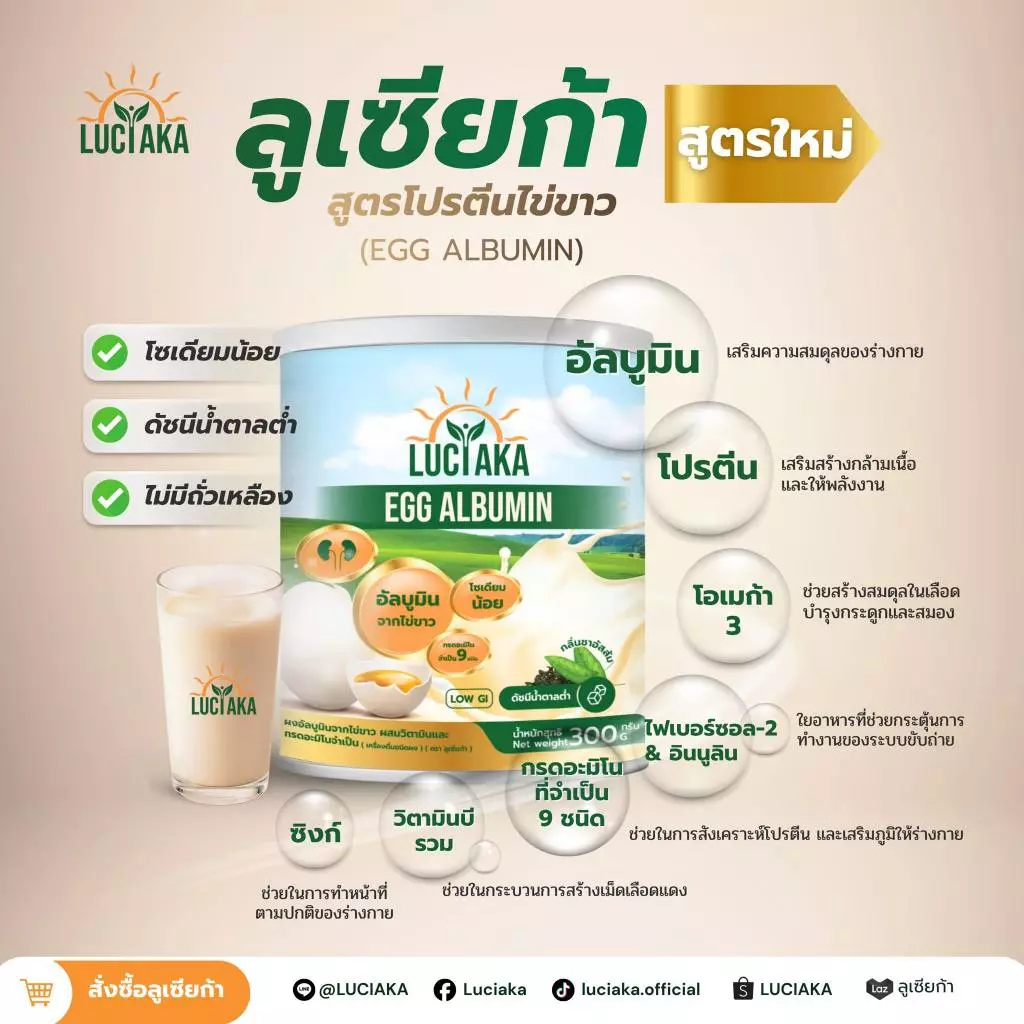 Luciaka Egg Albumin ลูเซียก้า ผงไข่ขาว 300 g thumbnail 4