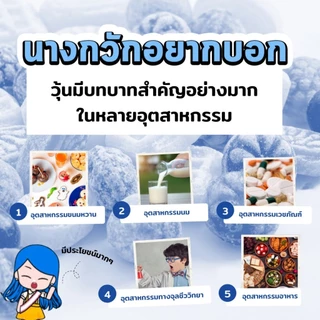 (ยกแพ็ก) วุ้นผง อะการ์ อะการ์ ตรานางกวัก ผงวุ้น 25 กรัม x25 ซอง / 50 กรัม x10 ซอง