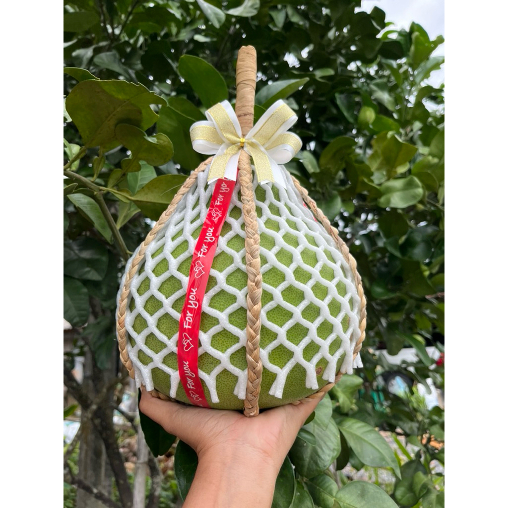 (pomelo fruit) ส้มโอทับทิมสยามไซร้1.9-2.0พร้อมชลอม