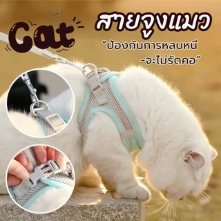 เสื้อรัดอกสัตว์เลี้ยง สายจูงแมว-สุนัข ระบายความร้อนดี ปลอดภัย แข็งแรง พร้อมส่ง.