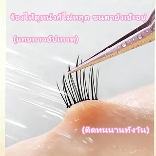 Dreehalo ขนตาไอดอลสไตล์หวานใจ มาพร้อมแถบกาวเจลลี ติดทนนานทั้งวัน เส้นขนชัดเป็นธรรมชาติ ให้ลุคตาโตแบบหน้าสดF309