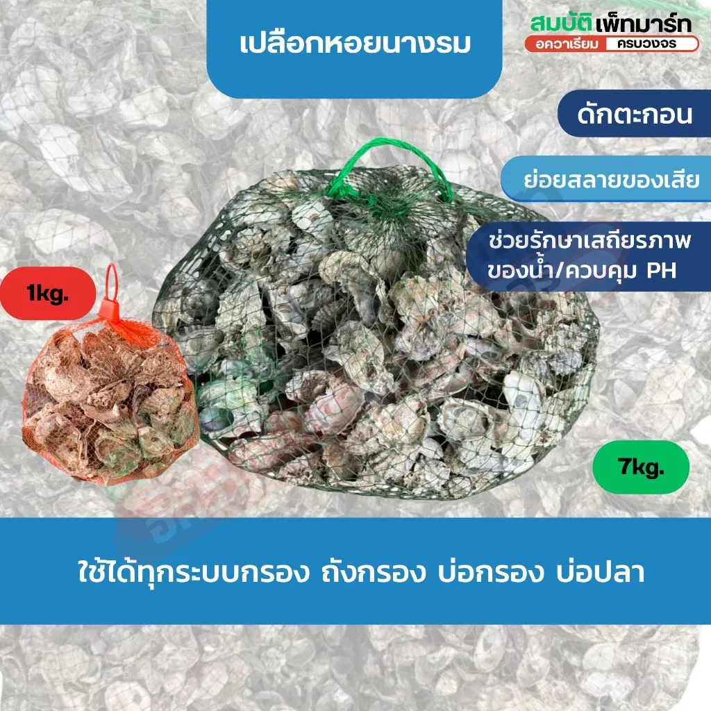 เปลือกหอยนางรม บรรจุถุงตาข่าย พร้อมใช้งาน ตัวช่วยน้ำดี-ปลาแข็งแรง 1kg/6-7kg