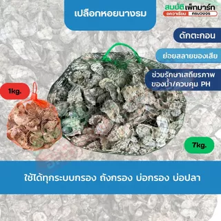 เปลือกหอยนางรม บรรจุถุงตาข่าย พร้อมใช้งาน ตัวช่วยน้ำดี-ปลาแข็งแรง 1kg/6-7kg