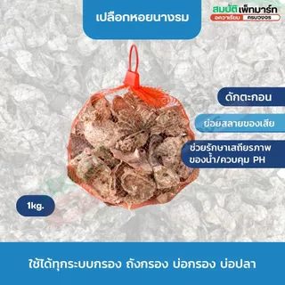 เปลือกหอยนางรม บรรจุถุงตาข่าย พร้อมใช้งาน ตัวช่วยน้ำดี-ปลาแข็งแรง 1kg/6-7kg