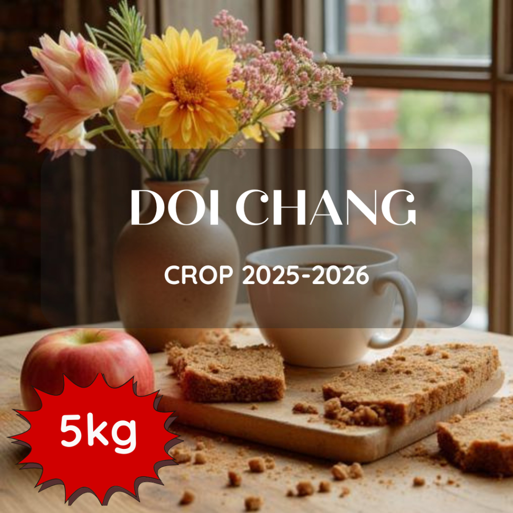 สารเมล็ดกาแฟ Doi Chang Crop 2025-2026 ขนาด 5kg