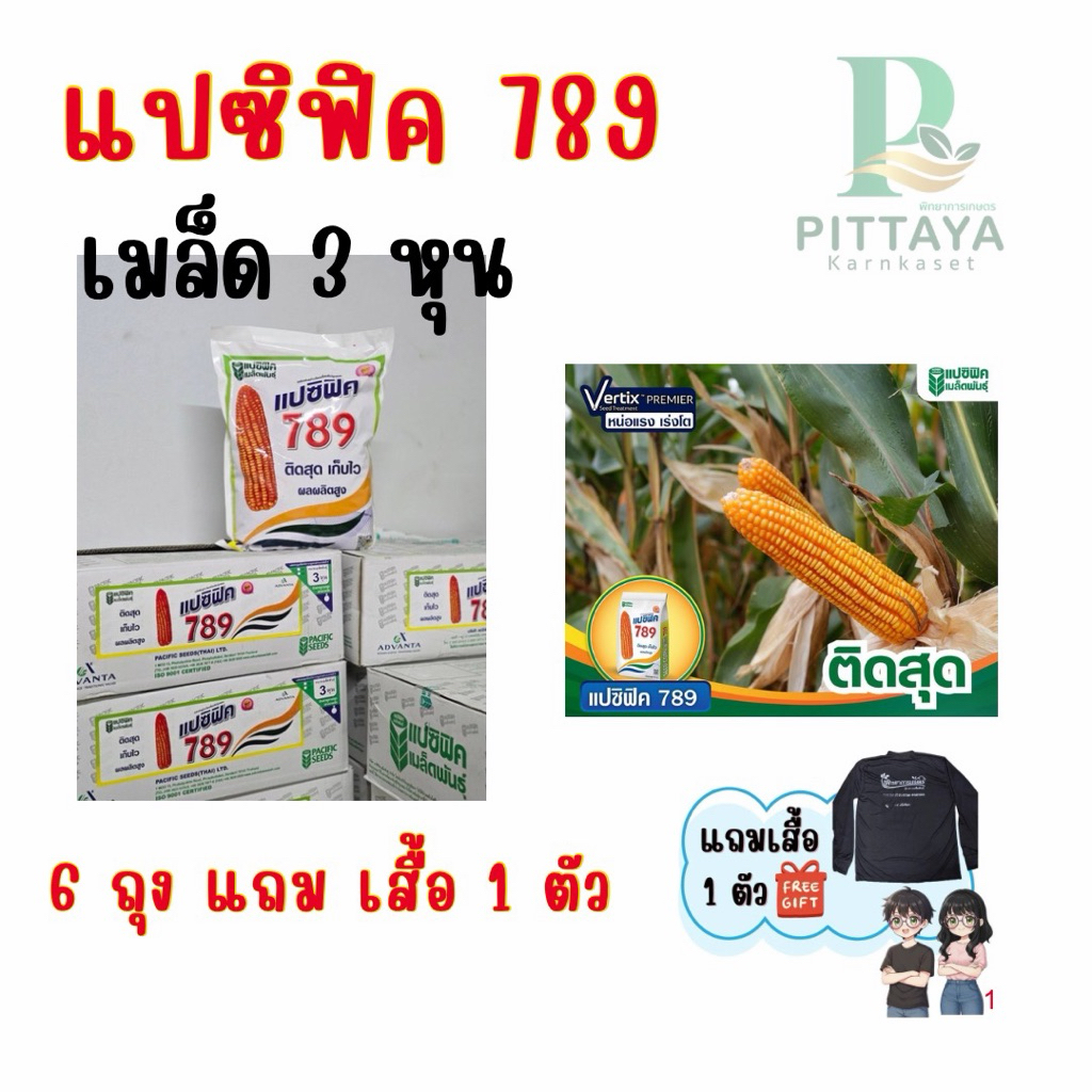ข้าวโพดแปซิฟิค 789 เมล็ด 3 หุน ขนาด 5 กิโลกรัม ติดสุดปลายฝัก ผลผลิตต่อไร่สูง