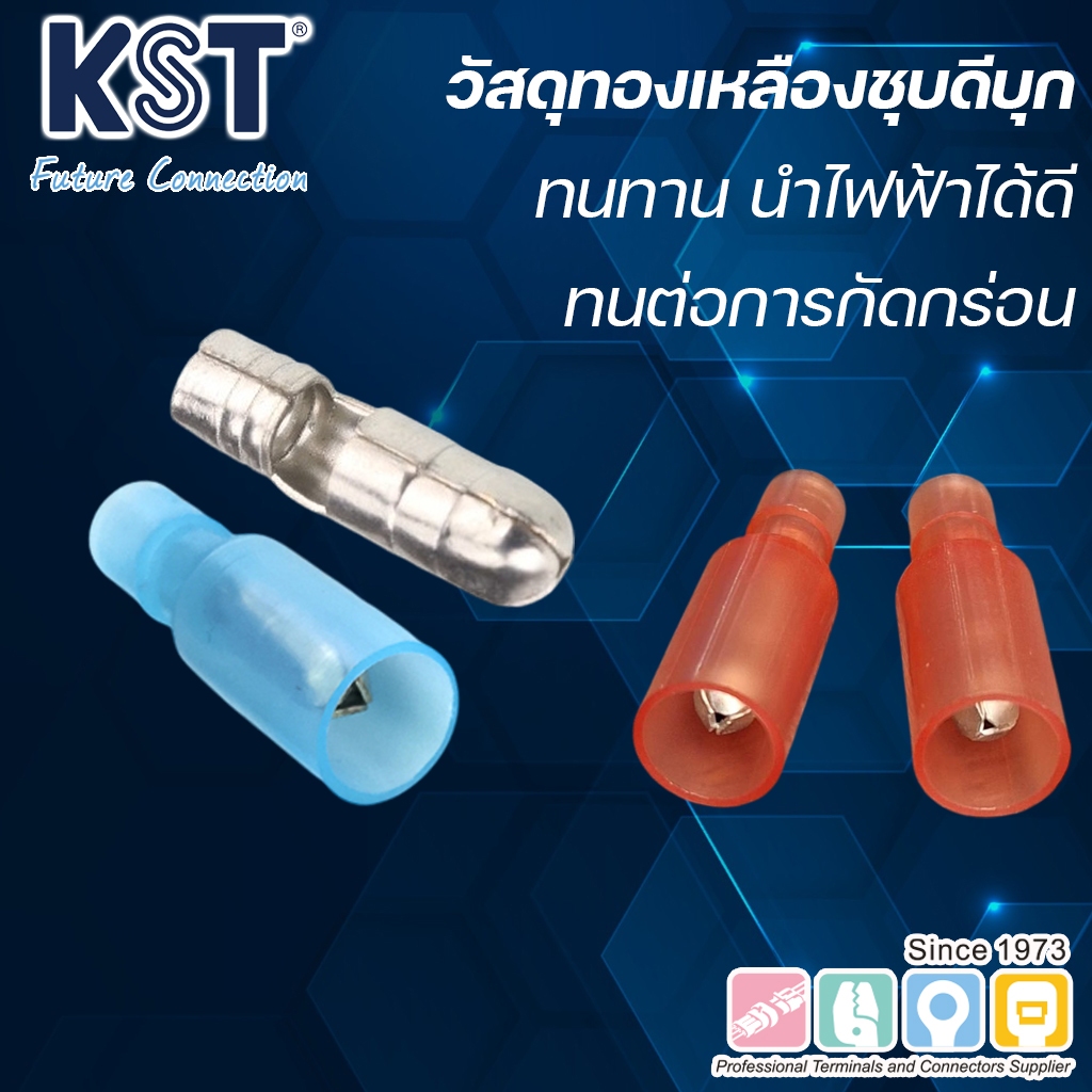 KST หางปลาเสียบกลมตัวผู้หุ้มเต็มชนิดไนล่อน ถุงละ100ชิ้น ราคา ถูกที่สุด ดีลบีเคเค แกลเลอรีภาพที่ 3