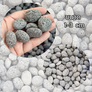 หินลาวาออสเตเลีย หินลาวาอ๊อด หินไข่ หินตกแต่งตู้ปลา 1กิโลกรับ 80 บาท