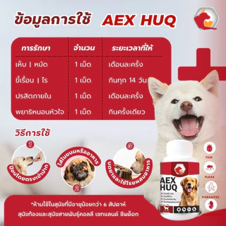 Aexhuq เสริมอาหาร ป้องกันเห็บ หมัด ไร ลดคัน ขนร่วง สูตรสำหรับสุนัข