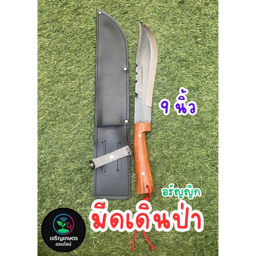 มีดเดินป่า ขนาด 9 นิ้ว เหล็กอรัญญิก คมทน ใช้งานได้หลากหลาย