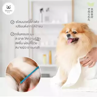 Washiワシ โฟมอาบน้ำแห้งสัตว์เลี้ยง สูตรอ่อนโยน ไม่ต้องล้างน้ำออก ขนสะอาดนุ่มลื่น แชมพูอาบน้ำแห้ง สุนัข แมว