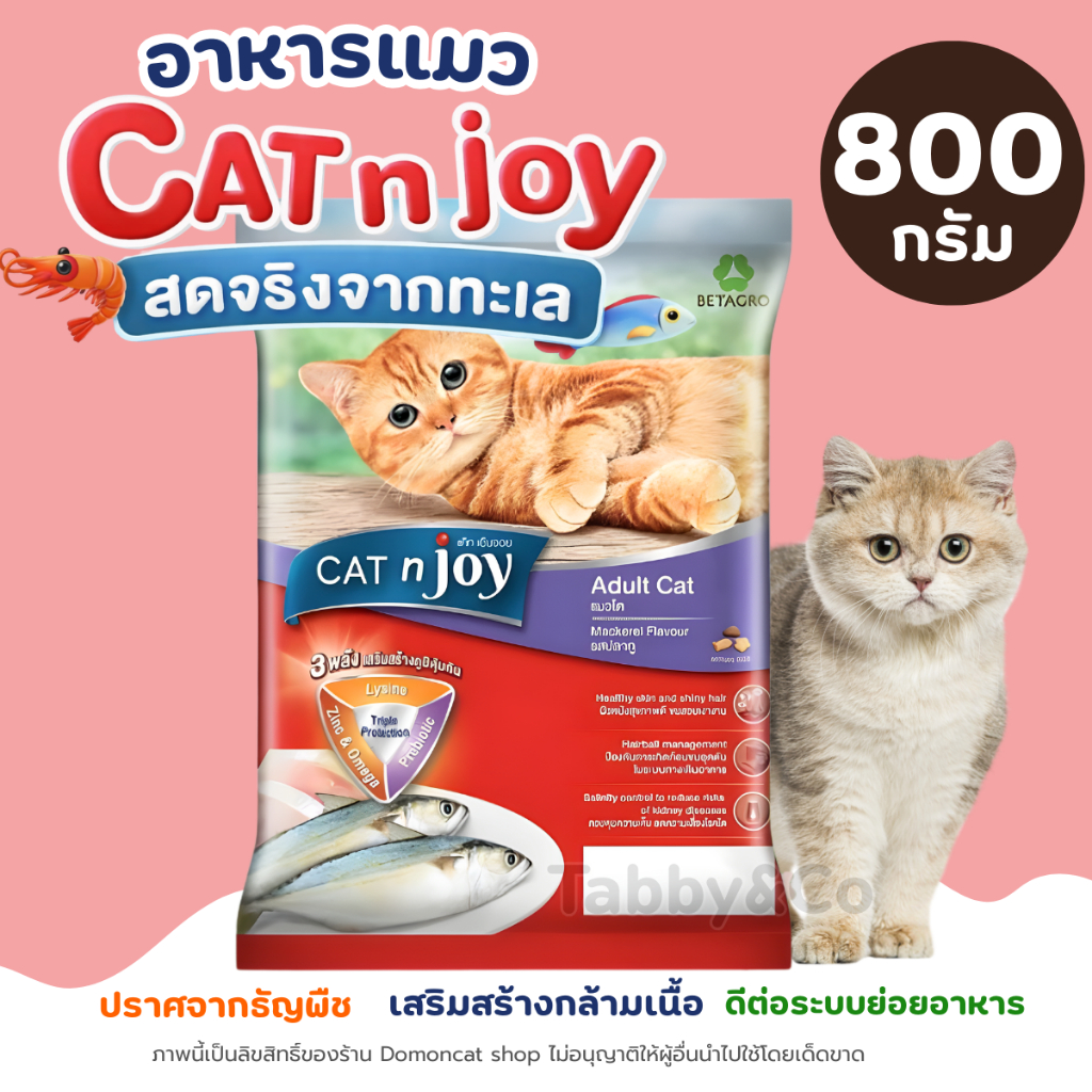 【800g】Cat N Joy อาหารแมว สูตรแมวโต บำรุงผิวหนังให้ขนสวยแข็งแรง เน้นการดูดซึมที่ดี ทานง่าย