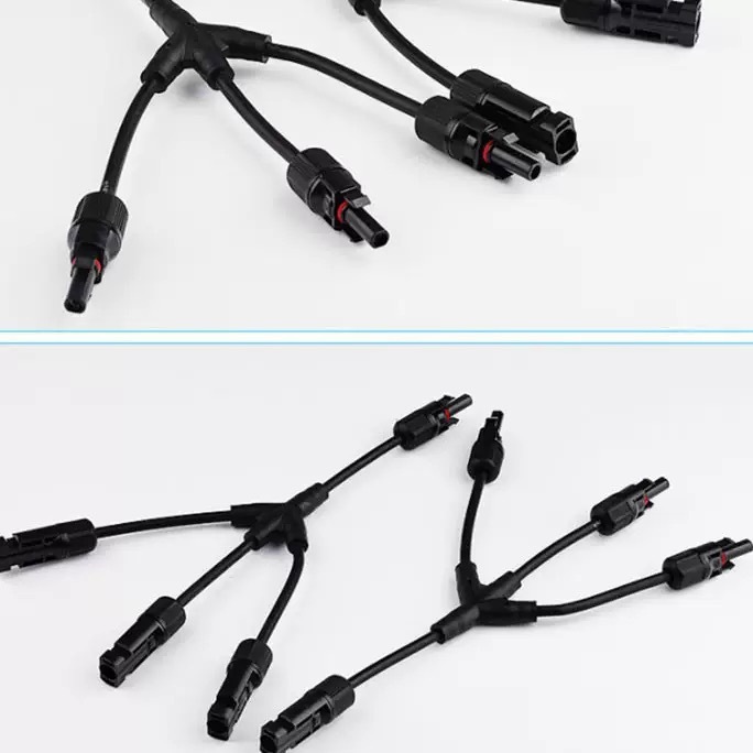 รูปภาพ 5