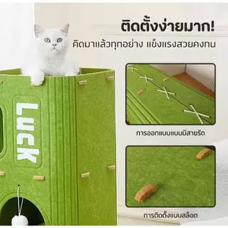 บ้านแมว คอนโดแมว บ้านมีรู 2ชั้น 3ชั้น คอนโดแมวทรงกระบอกดีไซน์ญี่ปุ่น แข็งแรงทนทาน สามารถปีนได้