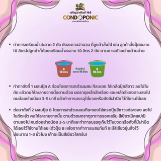 *ผักโตไว*ปุ๋ย AB ขนาด 20 ลิตร สำหรับผักไฮโดรโปนิกส์ทั้งผักไทยและผักสลัด ใช้ได้ทั้งน้ำนิ่งและน้ำวน