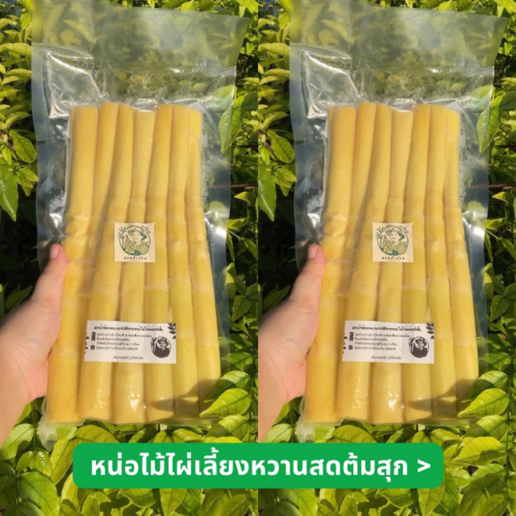 หน่อไม้ต้ม(ไผ่หวานสดต้ม) 500g-2กิโลกรัม บรรจุถุงสูญญากาศ