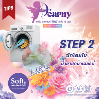 Dearny น้ำยาซักผ้า กลิ่น ลัช บลูม 2000 มล. x 4 ขวด ซักสะอาด กลิ่นหอมฟรุ้ตตี้ ประหยัดคุ้มค่า