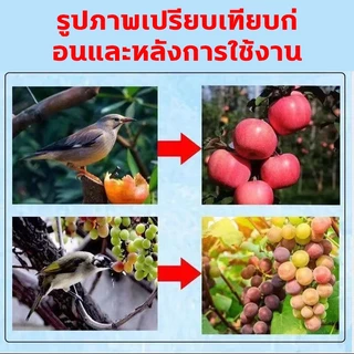 ✅โรยแล้วไม่มีนกมาอีกแล้ว✅ไล่นก ไล่นกพิราบ ยาไล่นก ก้อนไล่นก 500g ไล่นกได้ยาวนาน ทำจากสารสกัดธรรมชาติ ไม่เป็นอันตราย