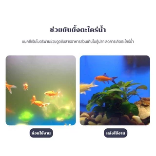 ไบโอบอลตู้ปลา กรองตู้ปลา 10 ชิ้น กรองน้ำ กรองชีวเคมีเพาะแบคทีเรียไนตริฟายอิ้ง ใช้ได้กับตู้ปลาทั่วไป