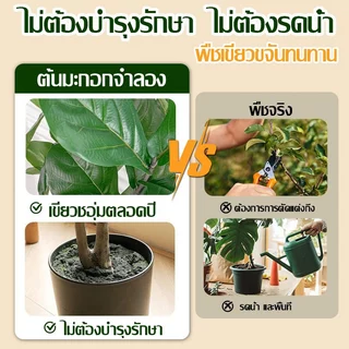 🎍คุ้มค่าที่สุด🎍ต้นไม้ปลอม ต้นไม้ปลอมใหญ่ สูง120/150ซม ความจำลอง 99% สไตล์นอร์ดิก