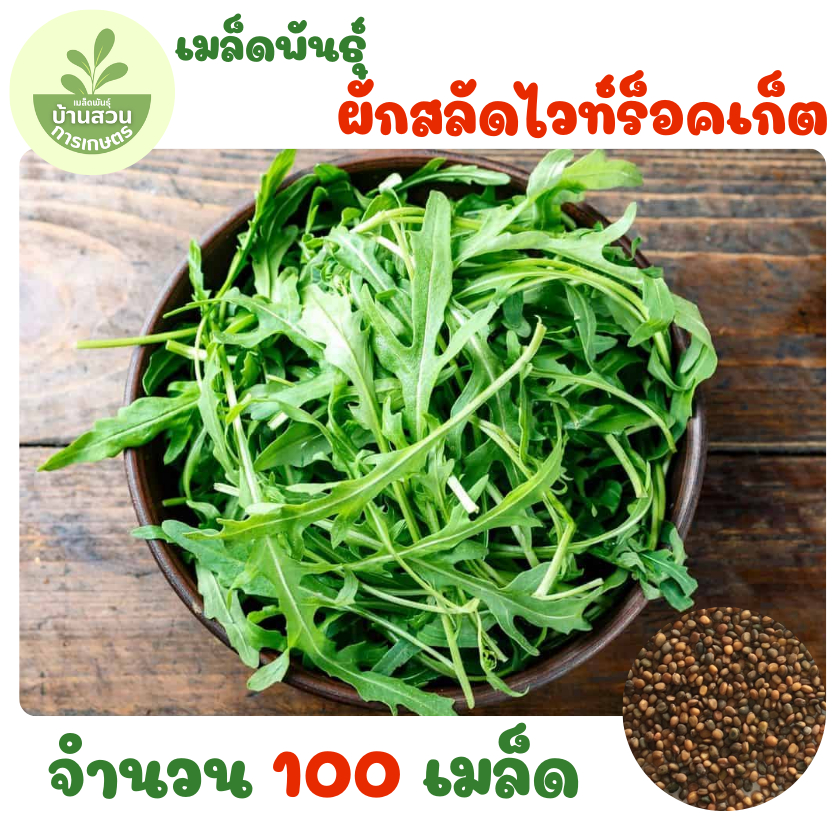 เมล็ดพันธุ์ผักสลัดไวท์ร็อคเก็ต จำนวน 100 เมล็ด