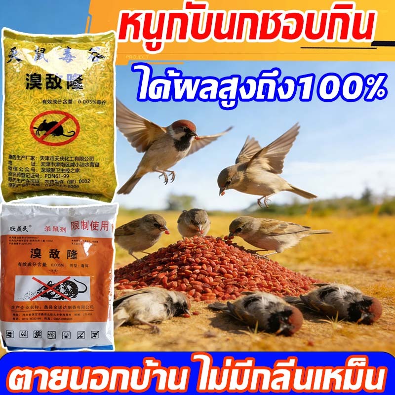 🦅🐀【100% ได้ผล】100g/500g ยากำจัดนกพิราบ ยาเบื่อนก ไล่นก ก้อนไล่นก  กำจัดนก เหยื่อกำจัดนกพิราบ เบื่อนกพิราบ ยาฆ่านกพิราบ