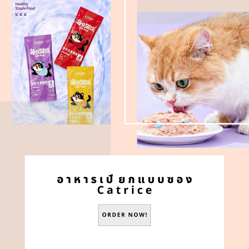 อาหารเปียกแบบซอง Catrice