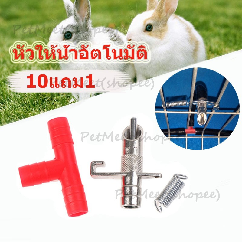 (10แถม1) 🎉หัวให้น้ำอัตโนมัติ หัวให้น้ำกระต่าย จุกน้ำให้กระต่ายนกหนู แข็งแรง น้ำสะอาด ปลอดภัยกับสัตว์เลี้ยง