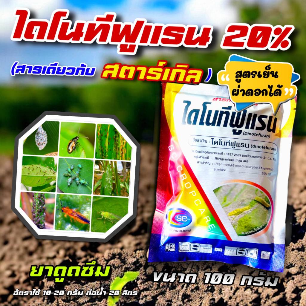 ไดโนทีฟูแรน ( 100 กรัม ) ฟ้า สารกำจัดแมลง เพลี้ยไฟ แมลงปากดูด เพลี้ยกระโดดสีน้ำตาล เพลี้ยจักจั่น เพลี้ยไก่แจ้ เพลี้ยอ่อน