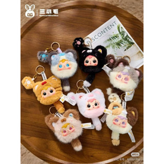 ⭐️ใช้โค๊ดลด⭐️ พร้อมส่ง 🇹🇭 Samuel Cats Paw Series ยก box 6 จุ…