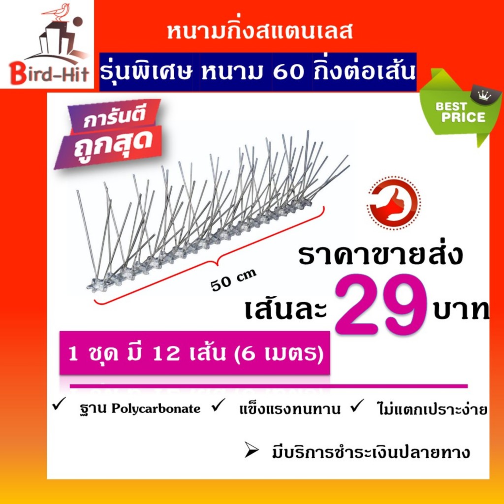 หนามไล่นก​ ป้องกันนก​ฐานโพลี​คาร์บอเนต​ รุ่นพิเศษหนาม​ 60​ กิ่งต่อเส้น​ จำนวน​ 12​ เส้น