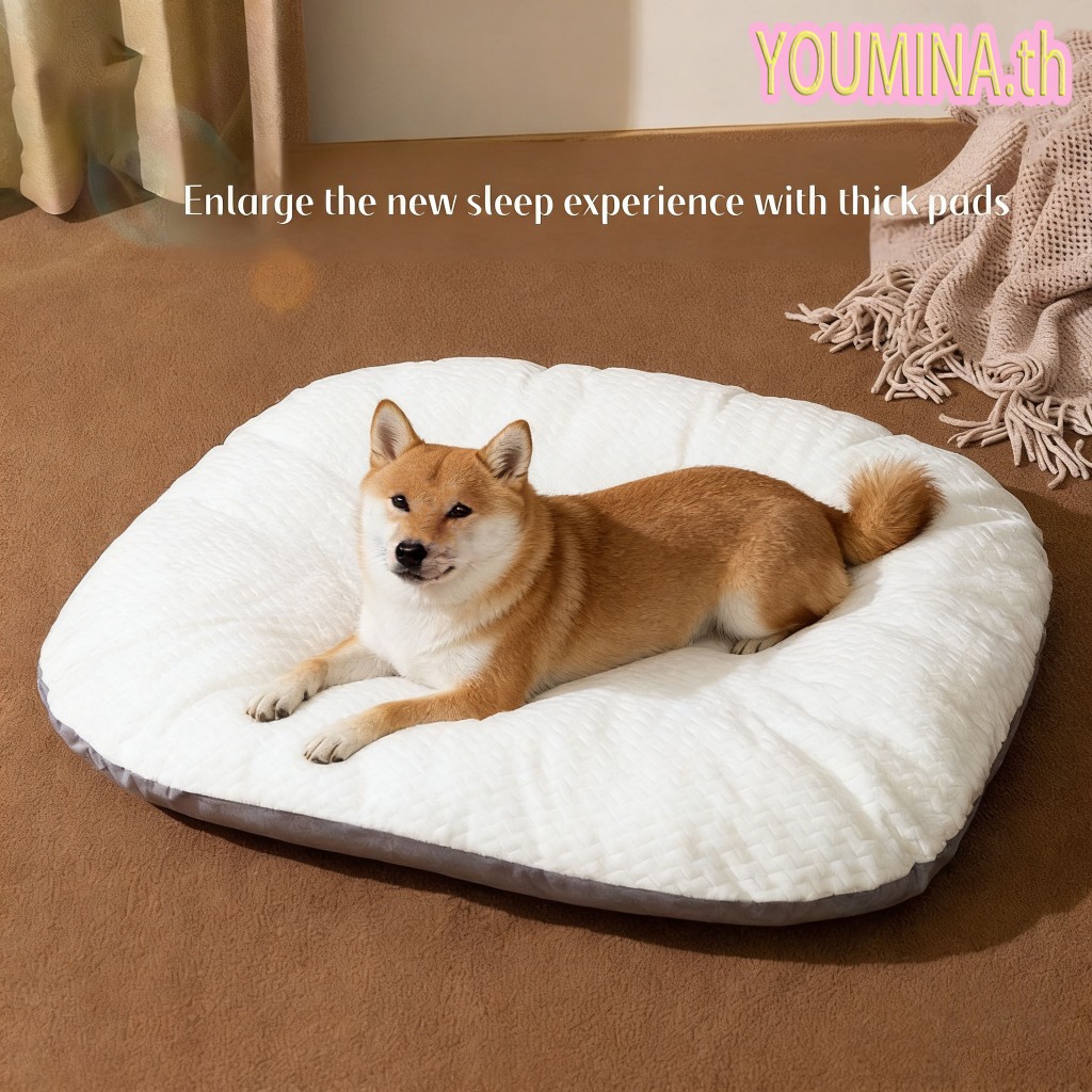 Mango เบาะสัตว์เลี้ยง กันน้ำ กันรา ที่นอนสัตว์เลี้ยง Waterproof Pet Bed ​ ที่นอนหมา ที่นอนเเมว ที่นอนสุนัข คอนโดแมว