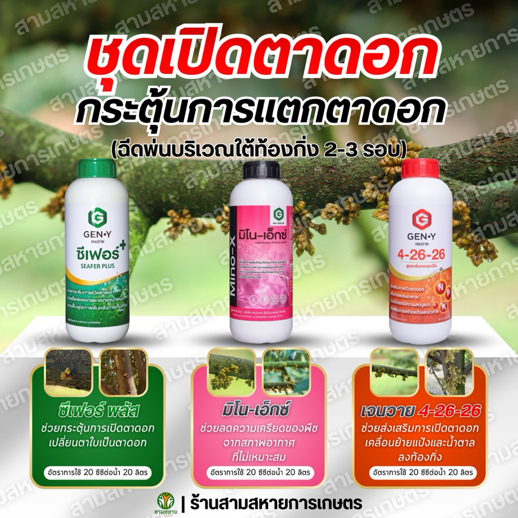 ชุดเปิดตาดอกGen-Y : ช่วยกระตุ้นการแตกตาดอก ทำให้ดอกออกดี ออกสม่ำเสมอ ดอกสมบูรณ์ [ขนาด1ลิตร มีจำนวน3ขวด]