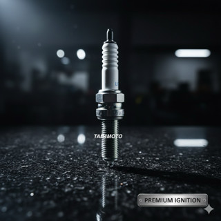 หัวเทียน NGK รถรุ่น MALAGUTI MADISON 150 CC