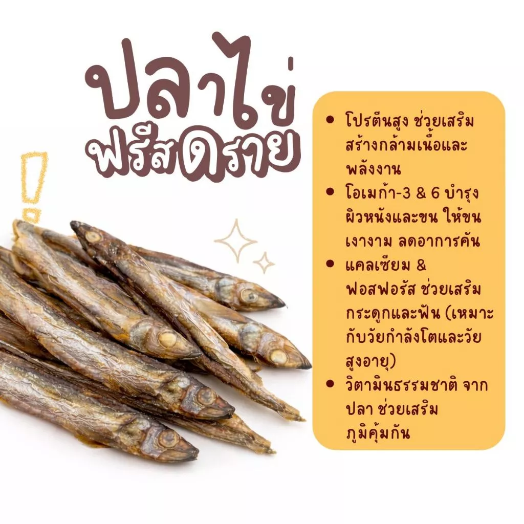 🟢 ขนมปลาไข่ ✅ เข้าเพิ่ม อบกรอบ สำหรับแมวและสุนัข  สินค้าพร้อมส่ง ร้านค้ายินดีให้บริการ thumbnail 5