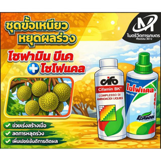 ชุดขั้วเหนียว หยุดผลร่วง – ไซฟามิน บีเค + ไซโฟแคล