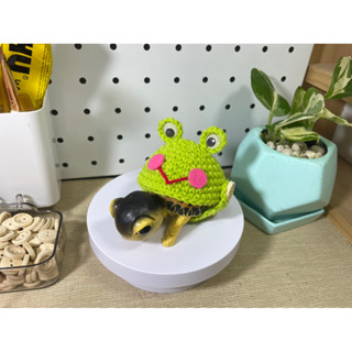 ชุดเต่าบก_005_กบเขียวอ่อน_บ้านชุดเต่าบก