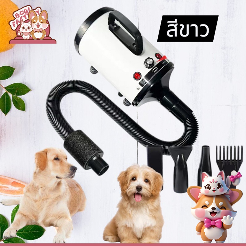 Boqi Factory ไดร์เป่าขน 2400W เครื่องเป่าขนสัตว์เลี้ยงชุดสุนัข/แมว เครื่องเป่าขน