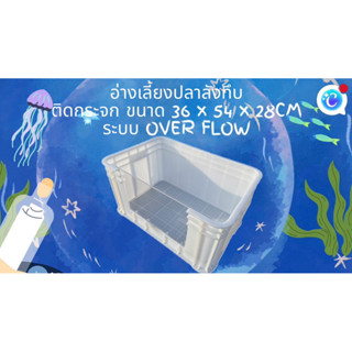 ลังพลาสติกแบบทึบสีขาวติดกระจก อ่างเปล่า 36x54x28 อ่างเลี้ยงป…