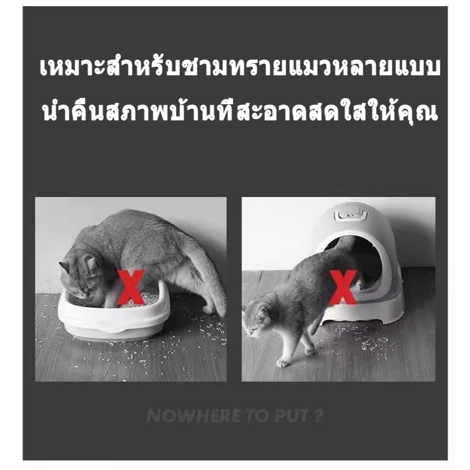 รูปภาพ 8