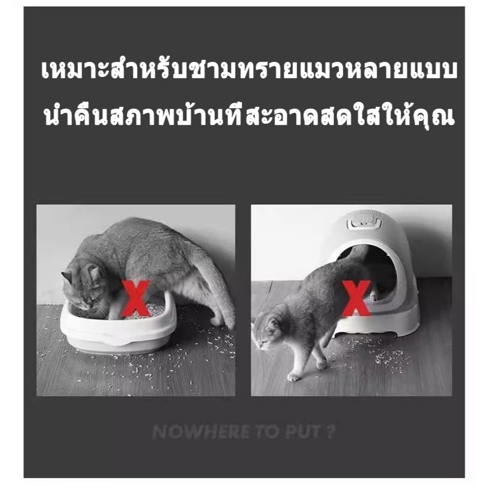 🔥🔥【70×120】แผ่นดักทรายแมว พรมดักทรายแมว พรม 2 ชั้น EVA ช่วยดัก ทรายแมว ที่ติดตามเท้า รอง ทรายแมว ขนาด ใหญ่ ดักทราย thumbnail 9